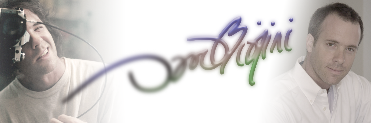 David Biagini Logo Banner